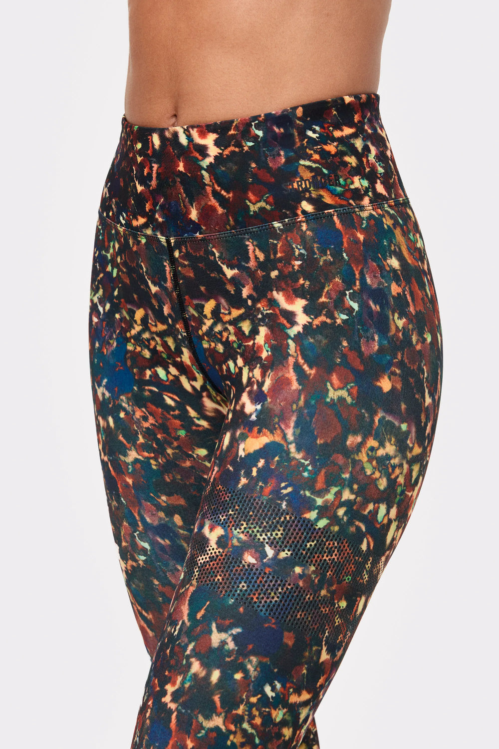 Tortoise Shell