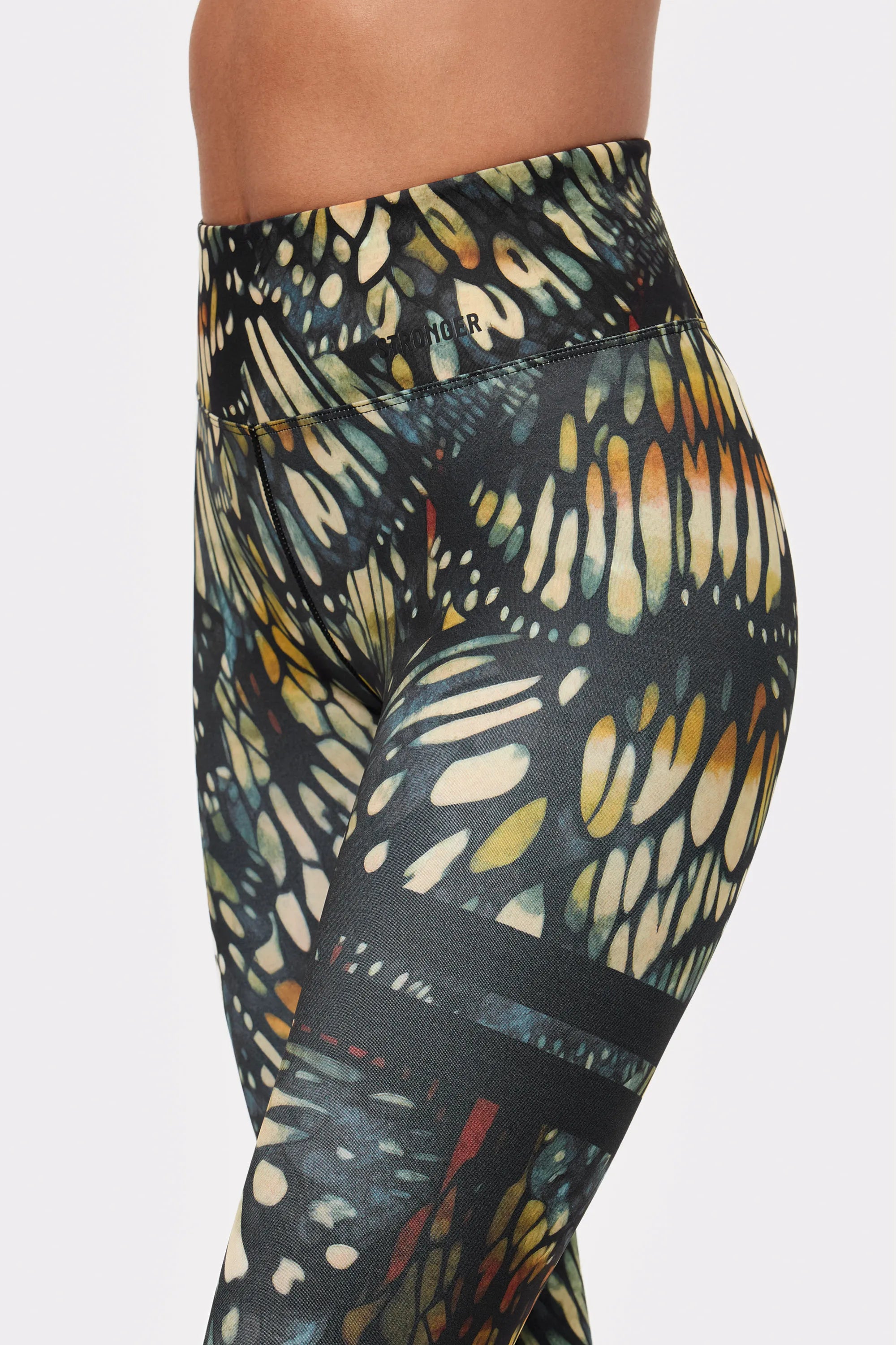 Butterfly Wings