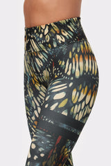 Butterfly Wings