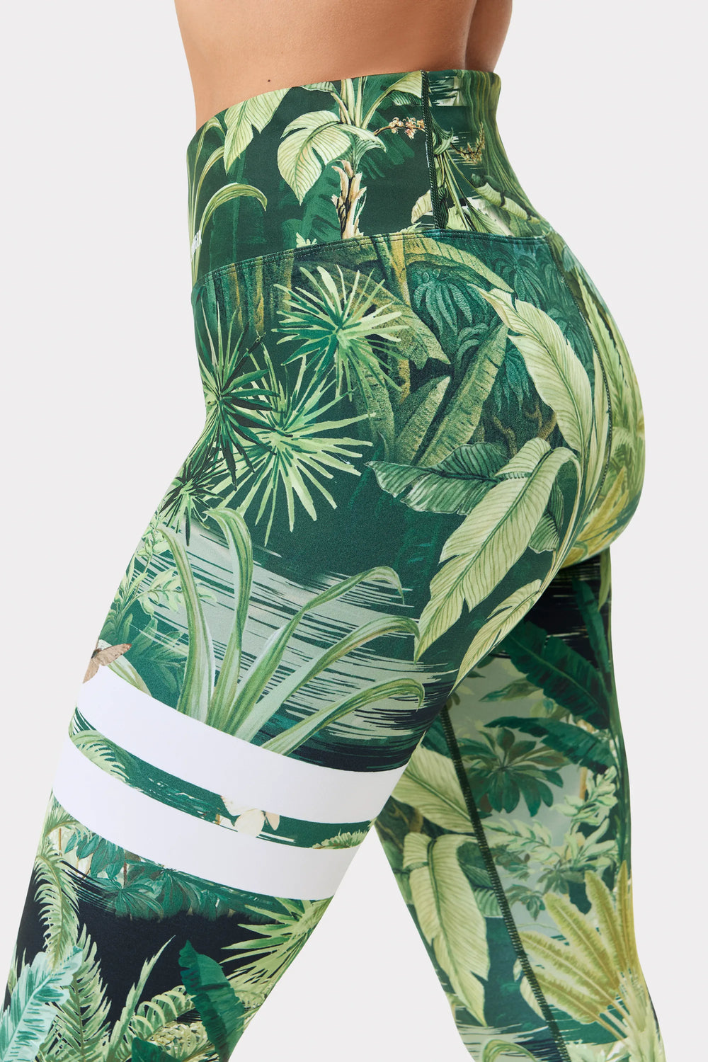 Tropical Leaves Print